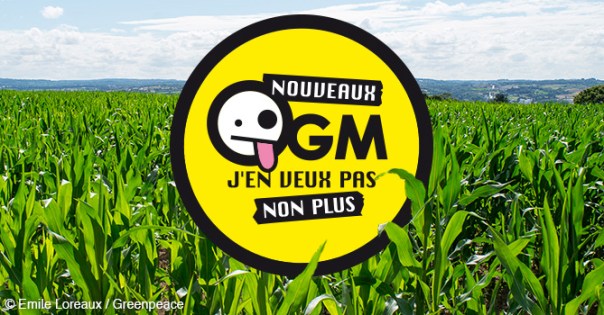 Pétition OGM