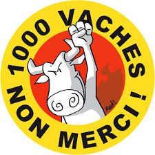 1000 vaches