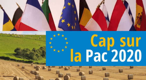 conference_pac2020_ok