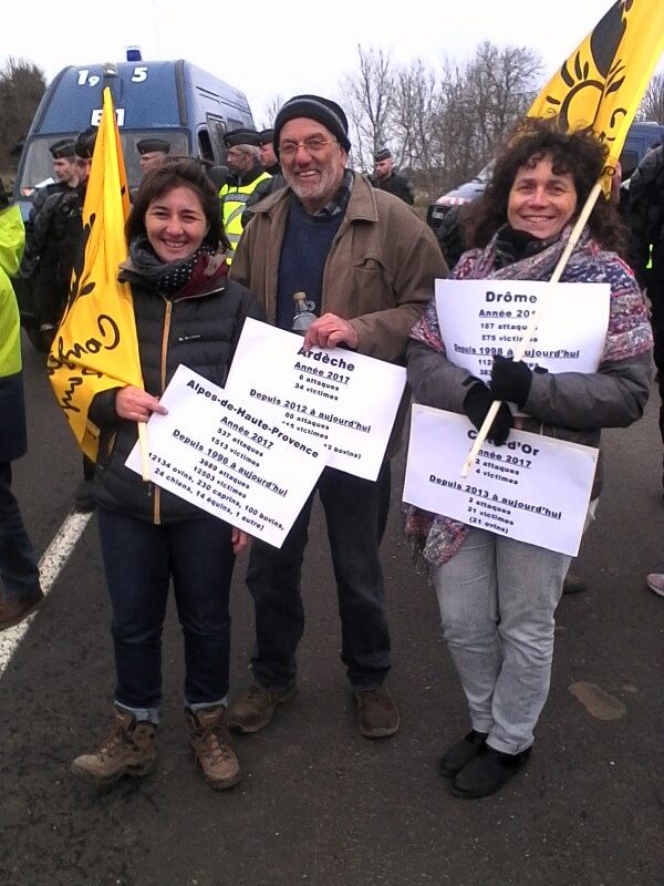 26904607_1997449833840224_2723644628856076896_n