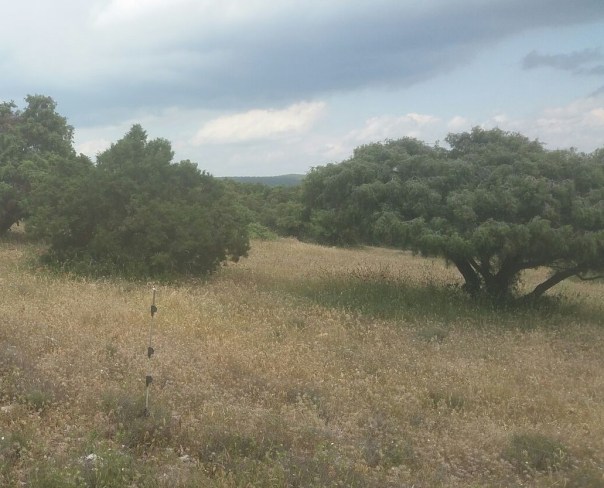 Controle huissier SPL 3-2018-06-28'.jpg