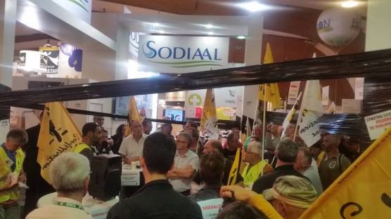 41620980_1753349651381666_7748899679554764800_n