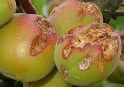 Rencontre 2 Conf'07-Michèle Victory 21 Juin 2019