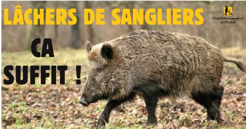 RS - lacher sanglier-page001