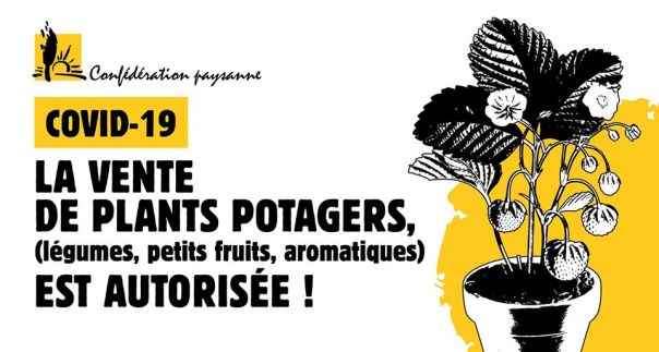 91452135_2692780300771925_7247364537240780800_o