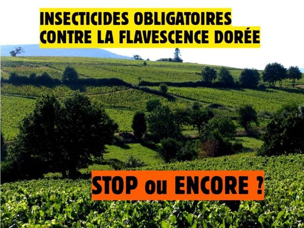 98363030_1757352544402639_1457628865659666432_o