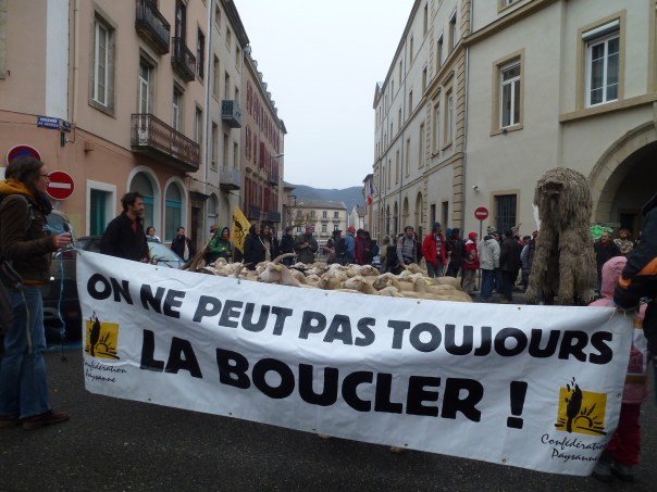 Manif Puçage Privas - 47