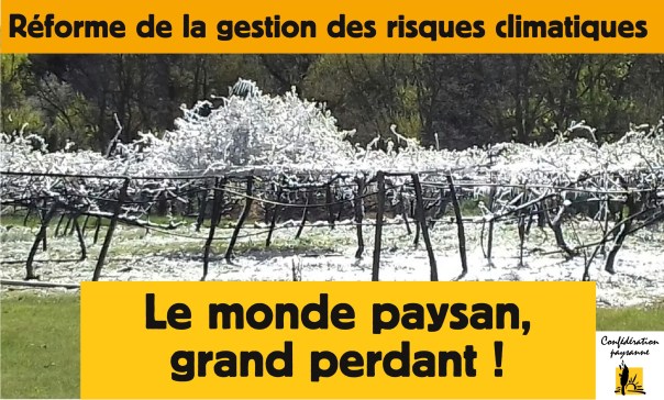 reforme gestion des risques-page001