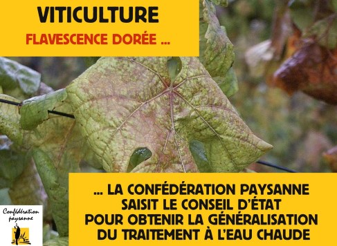 FD - recours TEC 2-page001