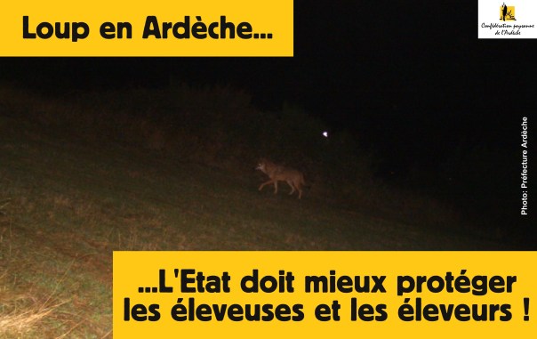 Visuel Loup Coiron-page001