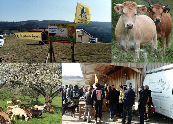 photo SAF 6 mars 2022'-page001