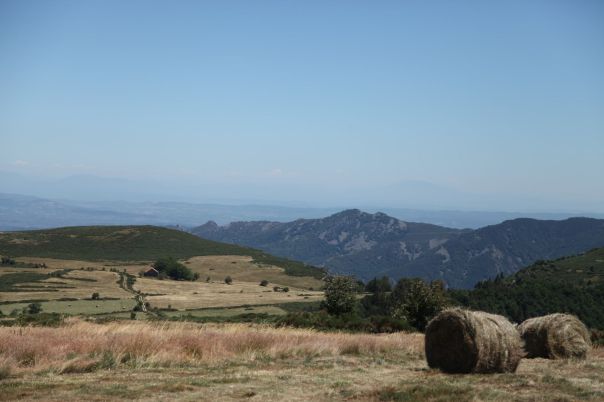 291433368_600490154727185_1854931984555809914_n