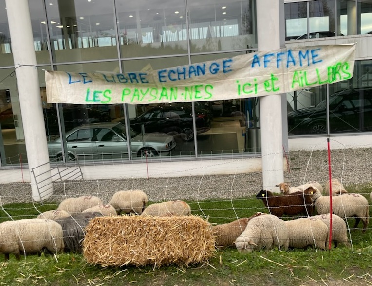 IMG_20241120_065340'