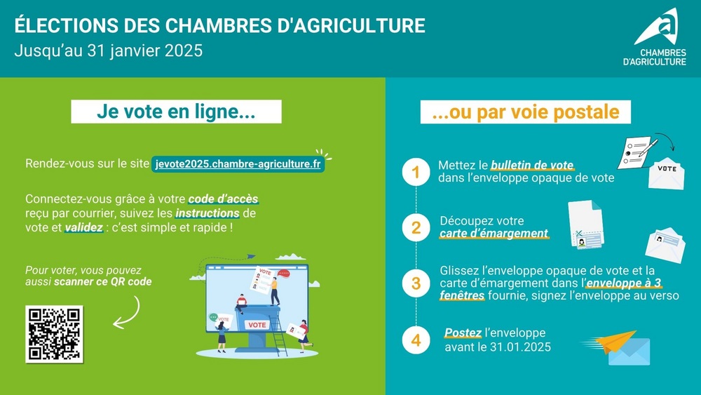 csm_Infographie_comment_voter-1_1__deb58cbbf8